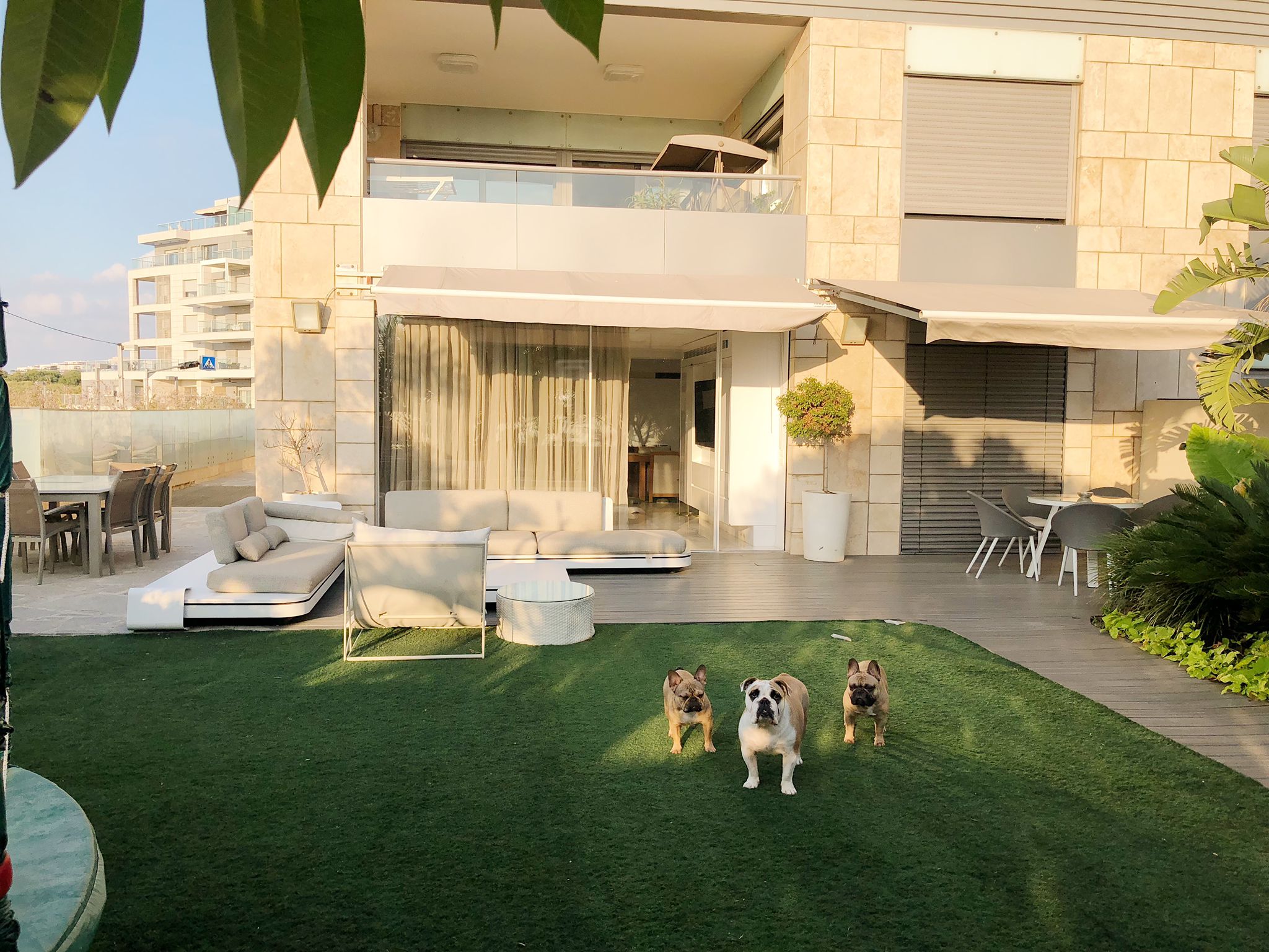 Image showcasing Garden appartment front of the beach – Street 26 real estate